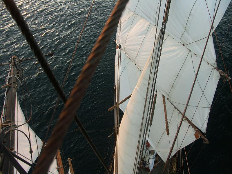 080508_Roald_Amundsen 318.jpg
